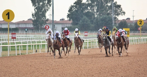 Anadolu Spor Gazetecileri Derneği Adana Şubesi Koşusu'nu Tunçdağ kazandı